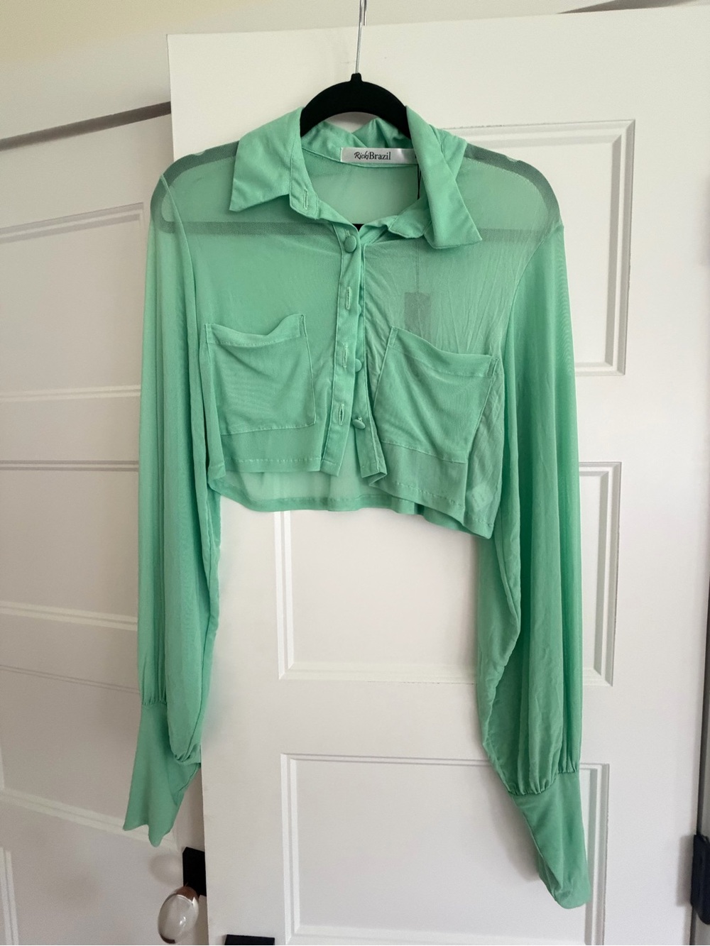 Sheer Cropped Button-Front Shirt in Mint